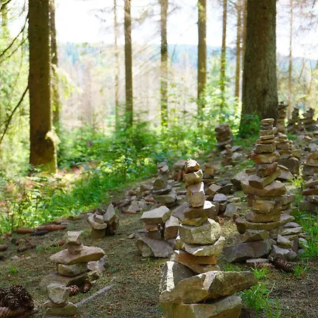 Modern & Vintage Bocksbergblick Hahnenklee *