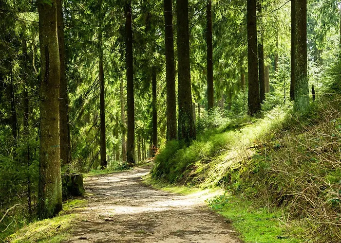 Modern & Vintage Bocksbergblick Hahnenklee Апартаменты