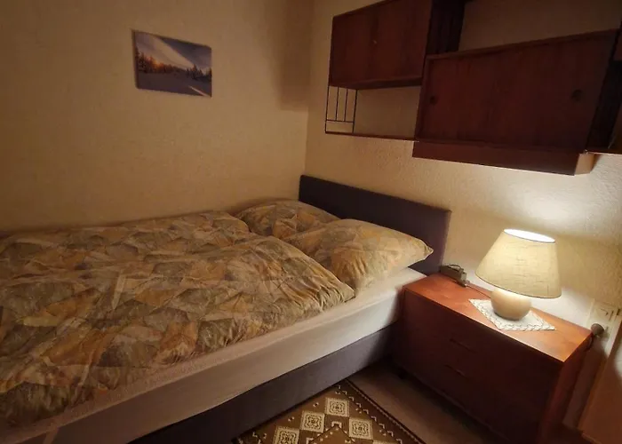 Modern & Vintage Bocksbergblick Hahnenklee Apartamento